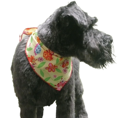 SPKS10 Bandanas Variety Pack Per Size - 12 assorted SPRING SUMMER bandanas  