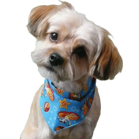 SPKS10 Bandanas Variety Pack Per Size - 12 assorted SPRING SUMMER bandanas  