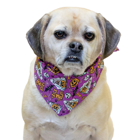 PKS12 60 Assorted HALLOWEEN Tieback Dog Grooming Bandanas / Groomers Bulk Package