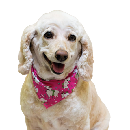 SPKS4 Bandanas Variety Pack Per Size - 12 assorted DOGGIE bandanas  