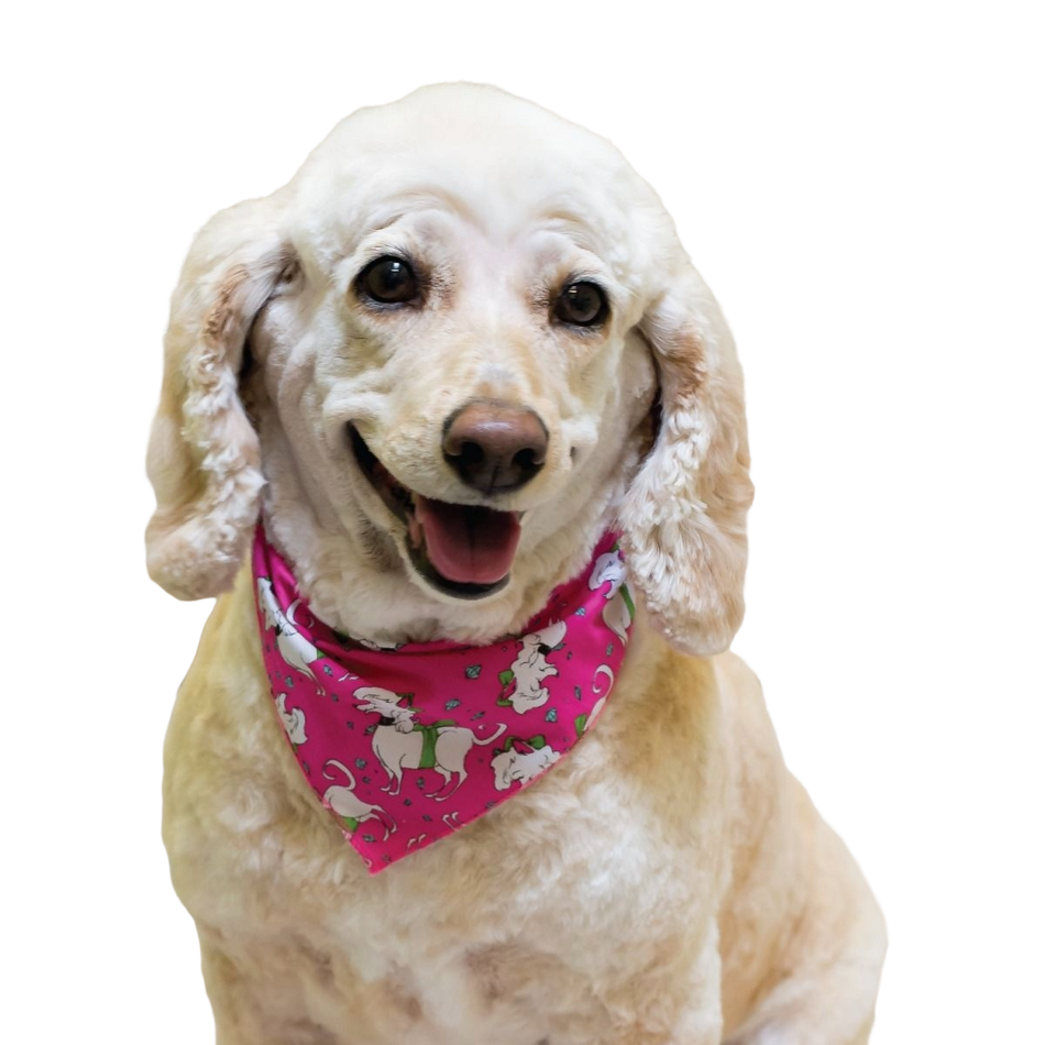 SPKS4 Bandanas Variety Pack Per Size - 12 assorted DOGGIE bandanas  