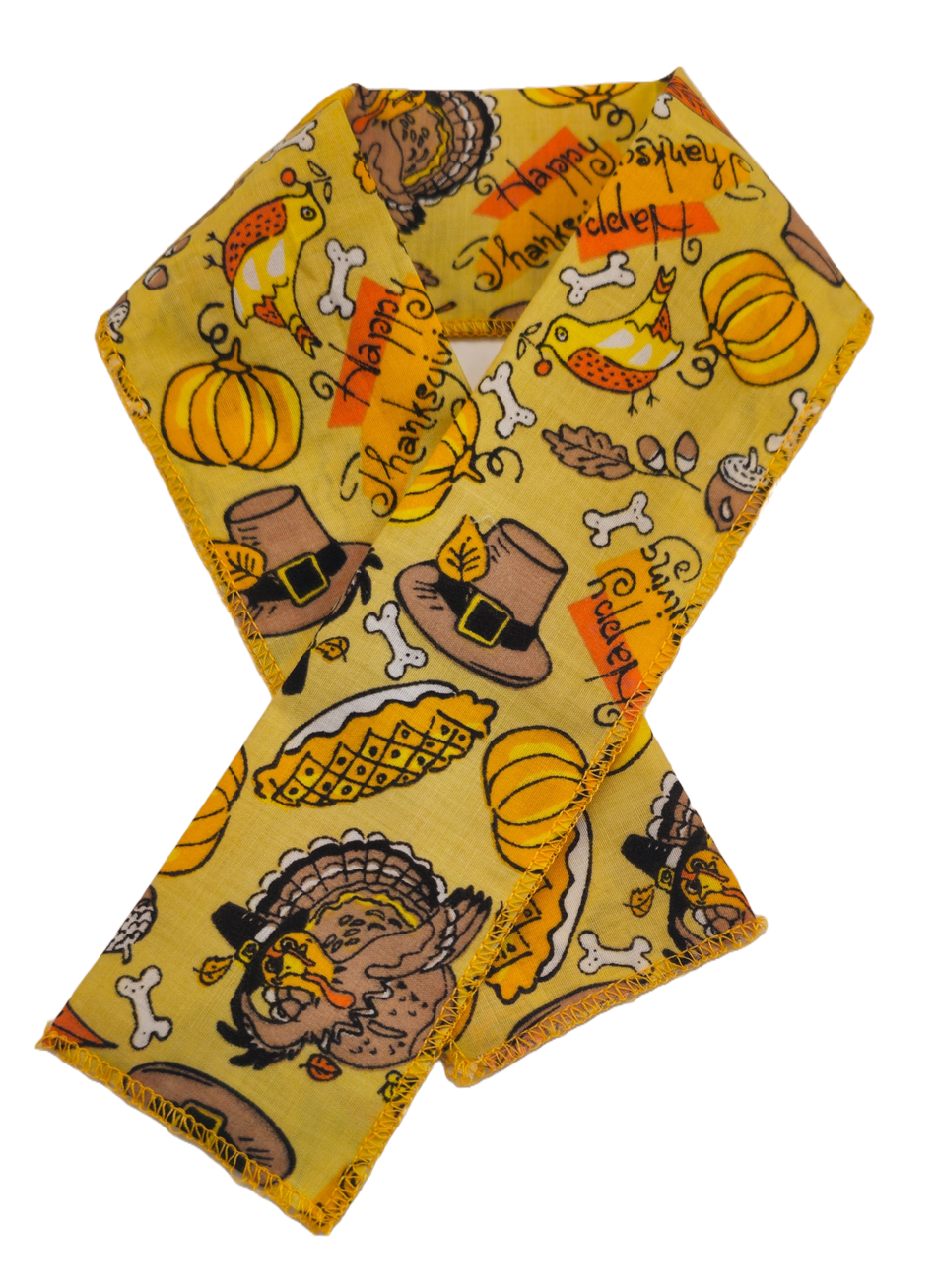 PKSCRF11 12 Assorted Fall/Thanksgiving Scarf 