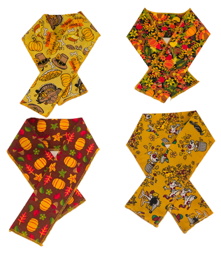PKSCRF11 12 Assorted Fall/Thanksgiving Scarf 