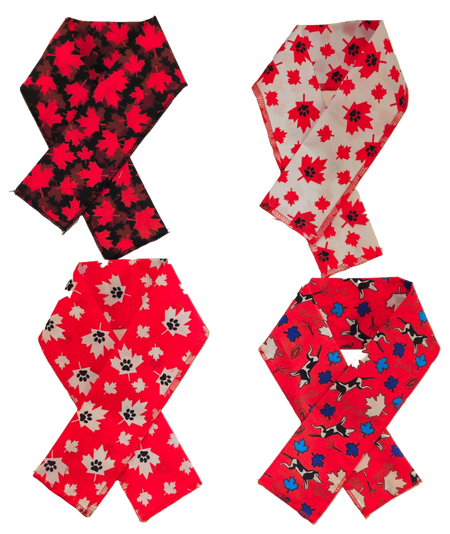 PKSCRF5 12 Assorted Canada Day Scarf 