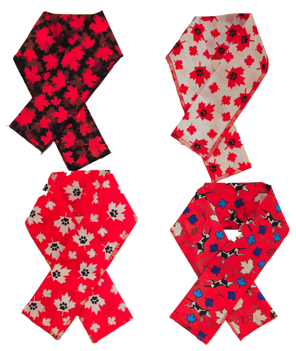 PKSCRF5 12 Assorted Canada Day Scarf 