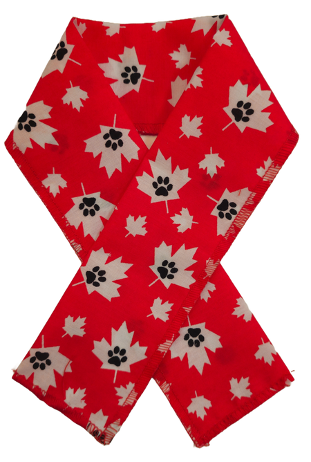 PKSCRF5 12 Assorted Canada Day Scarf 