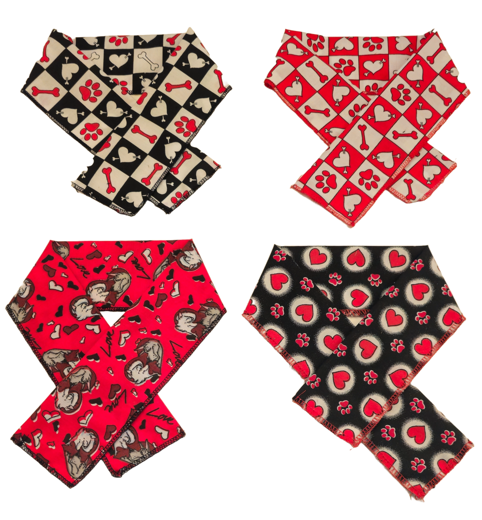 PKSCRF7 12 Assorted Valentine's Day Scarf 