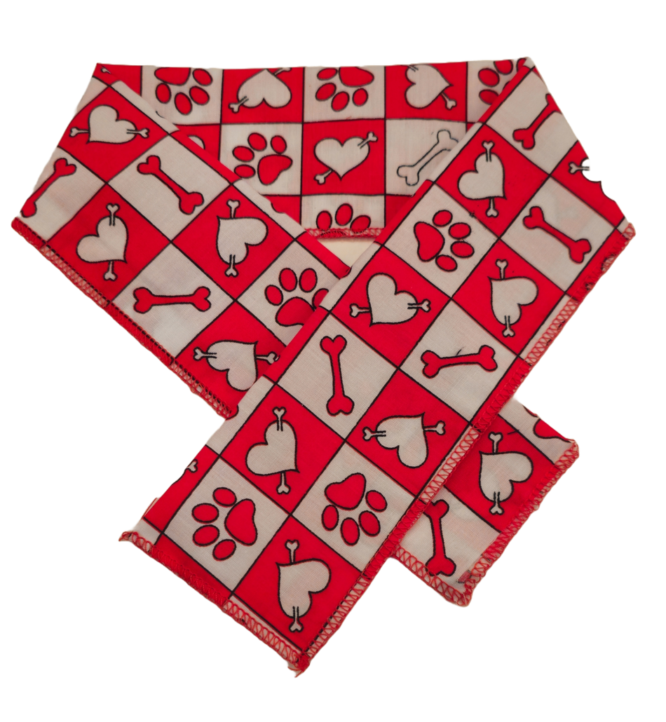 PKSCRF7 12 Assorted Valentine's Day Scarf 