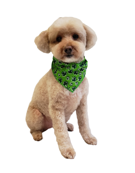 S3153 St. Patrick's Day Paw's Bandana
