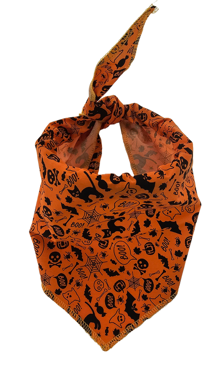 S3020 Halloween Bandana