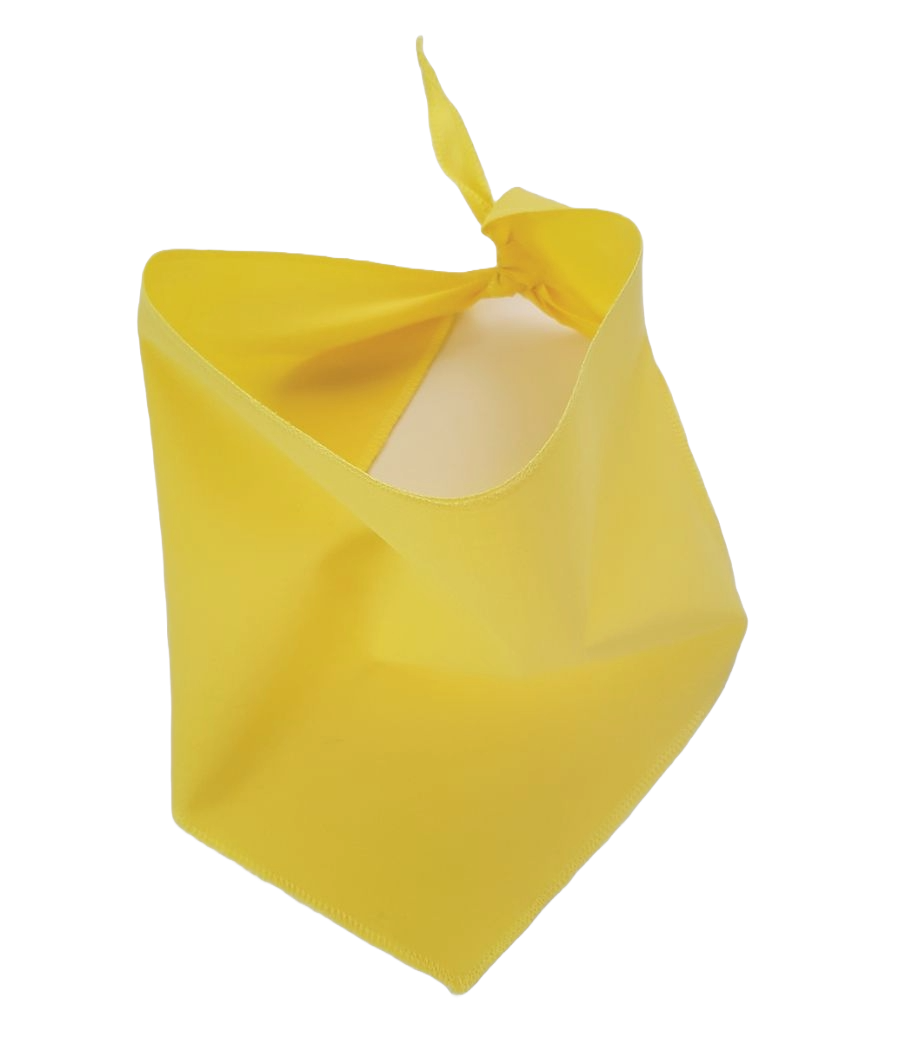 S3029 Golden Yellow Bandana