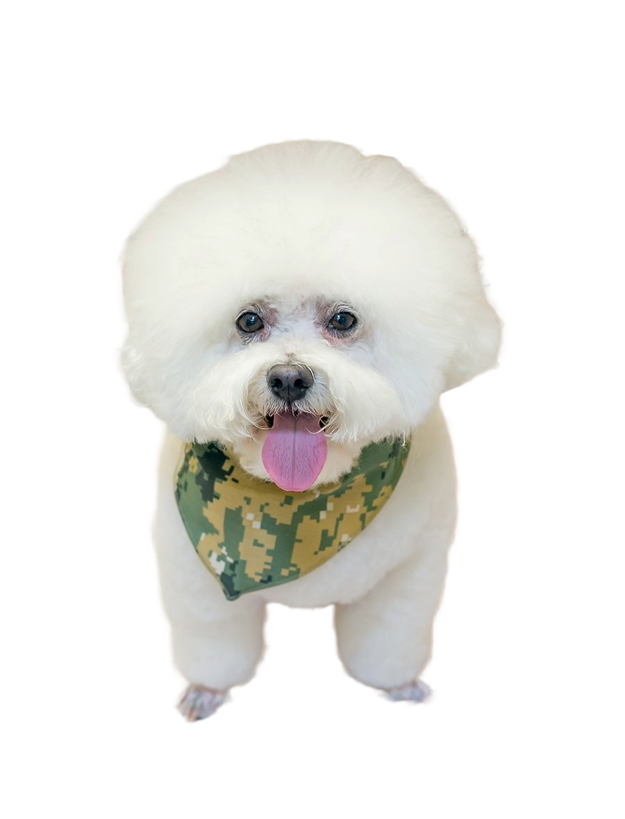 S3042 Digital Camo Bandana, Green