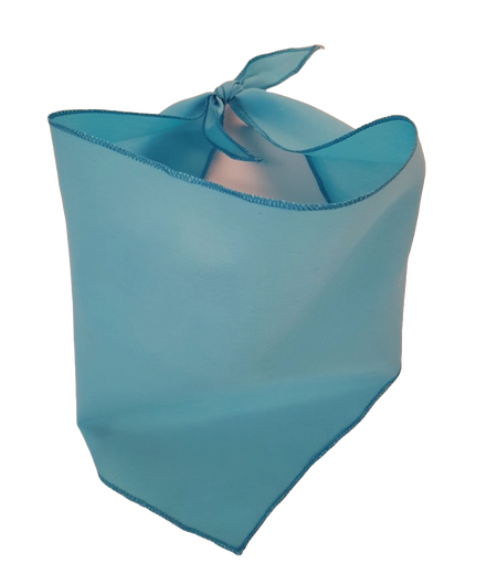 S3048 Light Blue Bandana