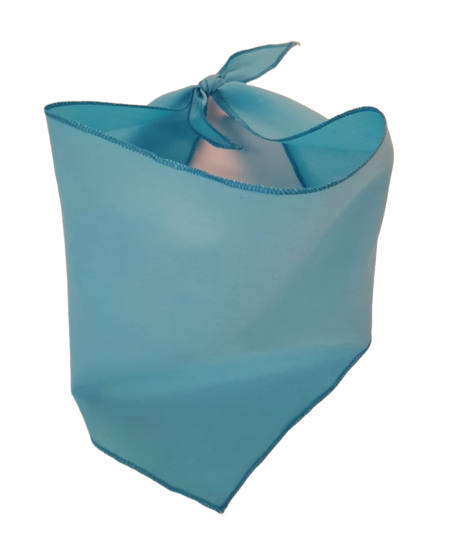 S3048 Light Blue Bandana