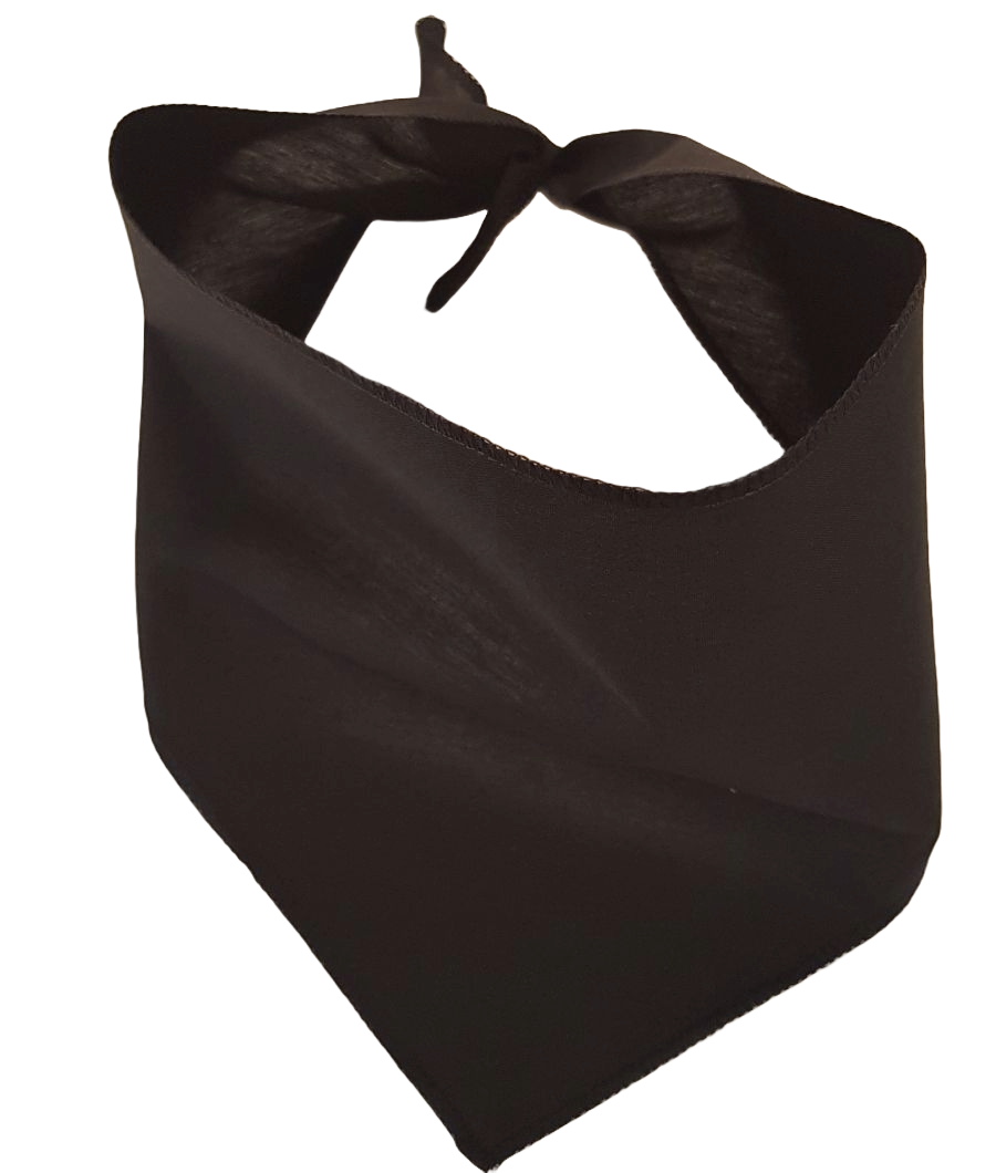 S3059 Black Bandana