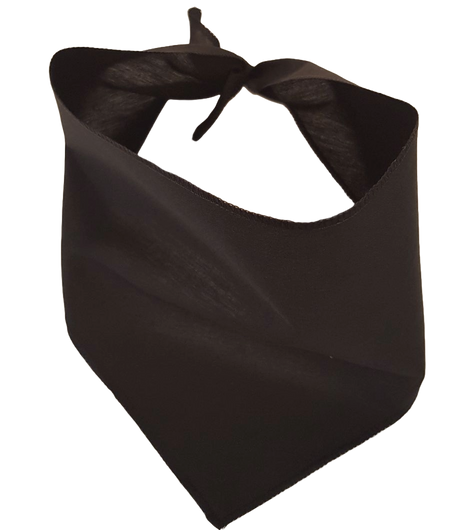 S3059 Black Bandana