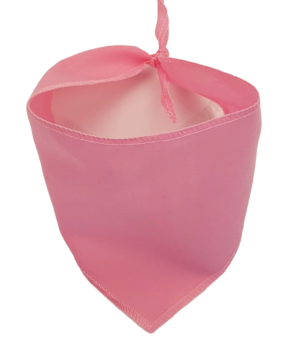 S3060 Light Pink Bandana