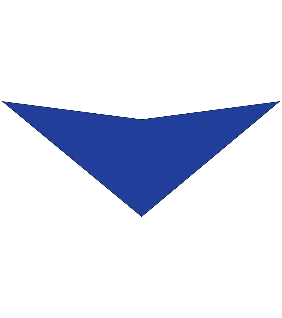 S3063 Royal Blue Bandana