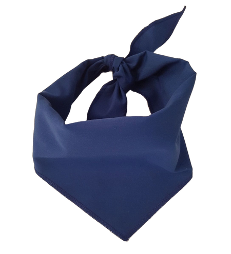S3063 Royal Blue Bandana