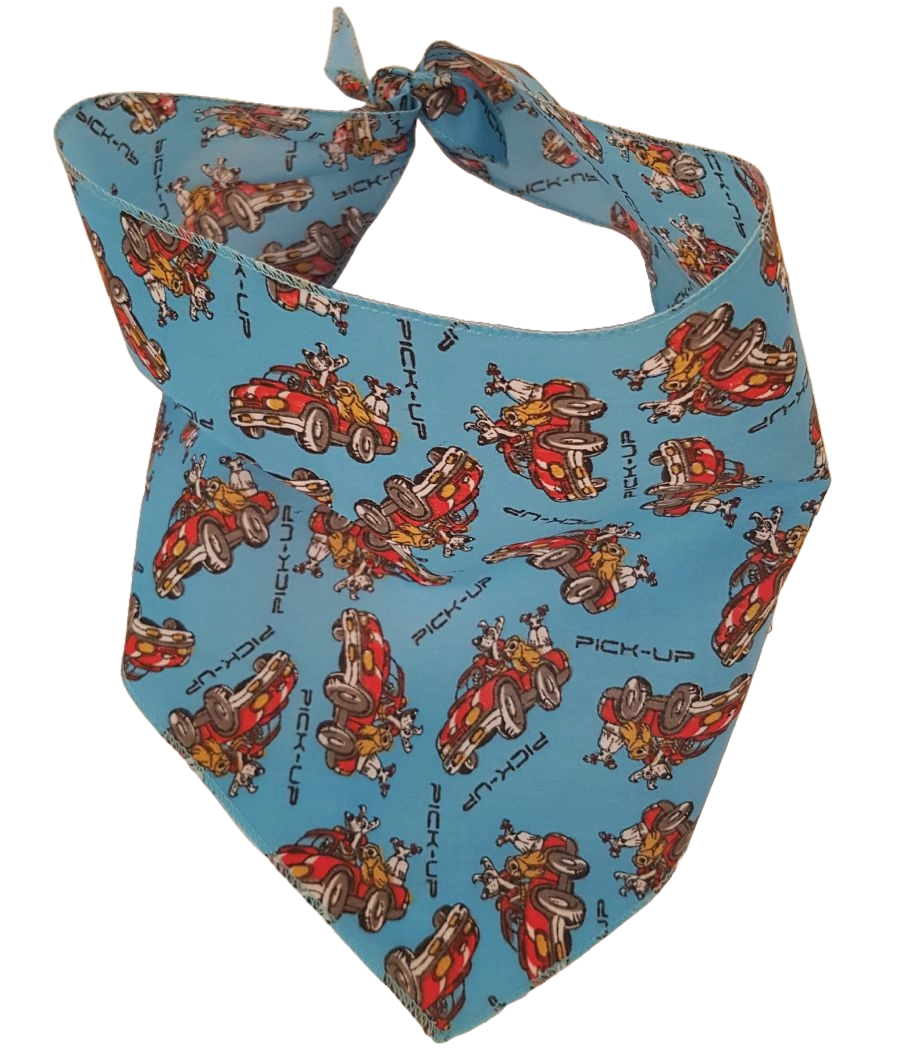 SA3085 PIck Up Doggie Bandana, Blue