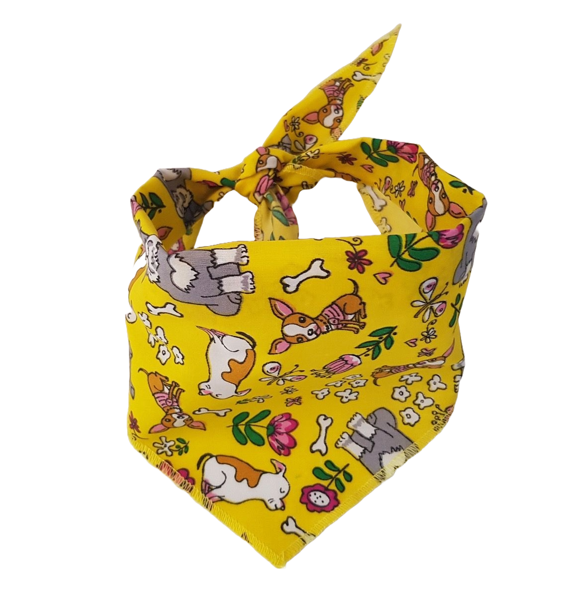 S3094 Summer  Bandana