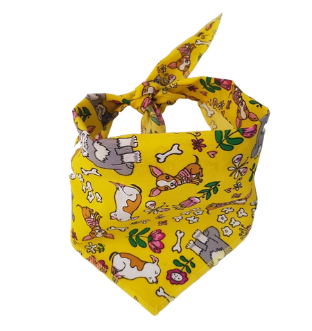 S3094 Summer  Bandana