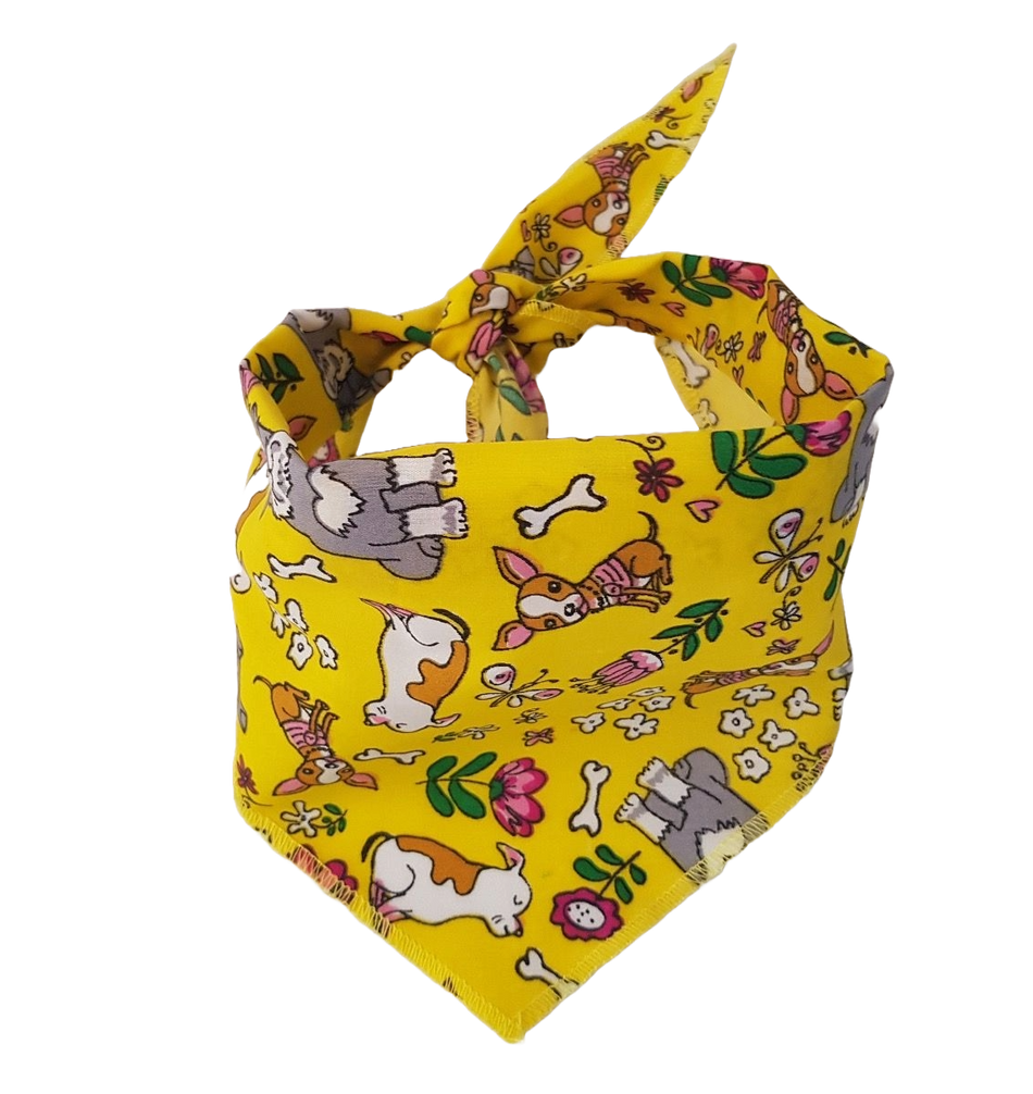 S3094 Summer  Bandana