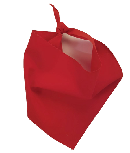 S3100 Red Bandana