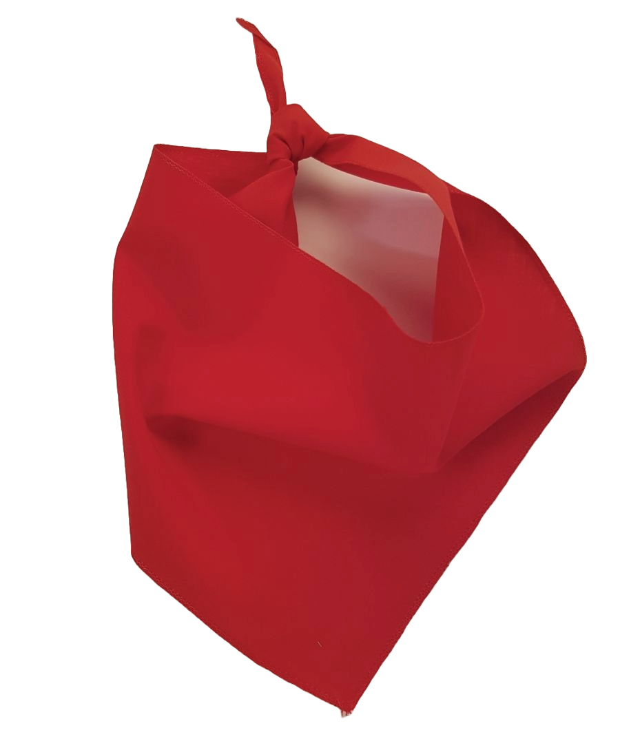 S3100 Red Bandana