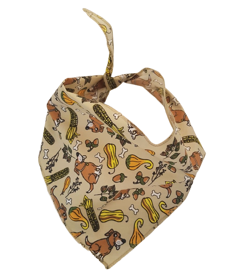 SA3138 Happy Harvest Squash Doggie Bandana, Brown