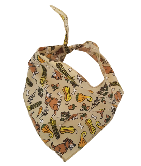 SA3138 Happy Harvest Squash Doggie Bandana, Brown