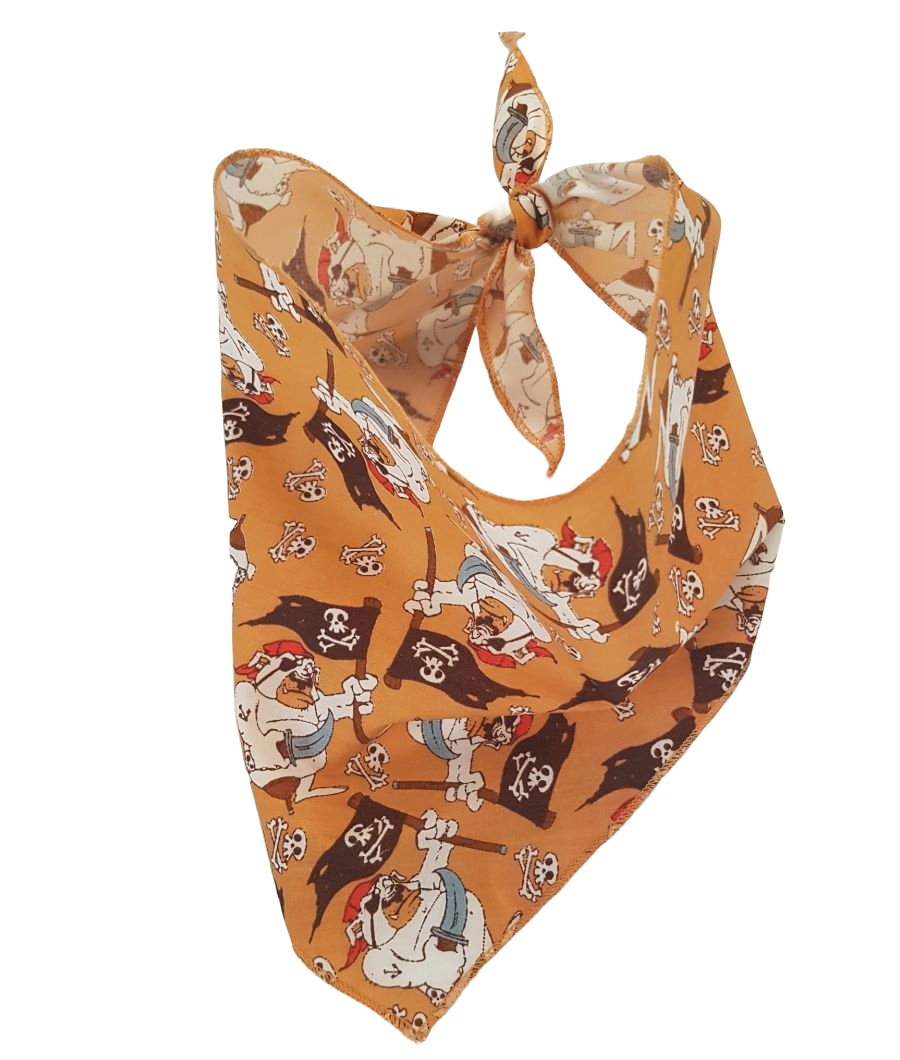 S3170 Pirate Doggie Bandana