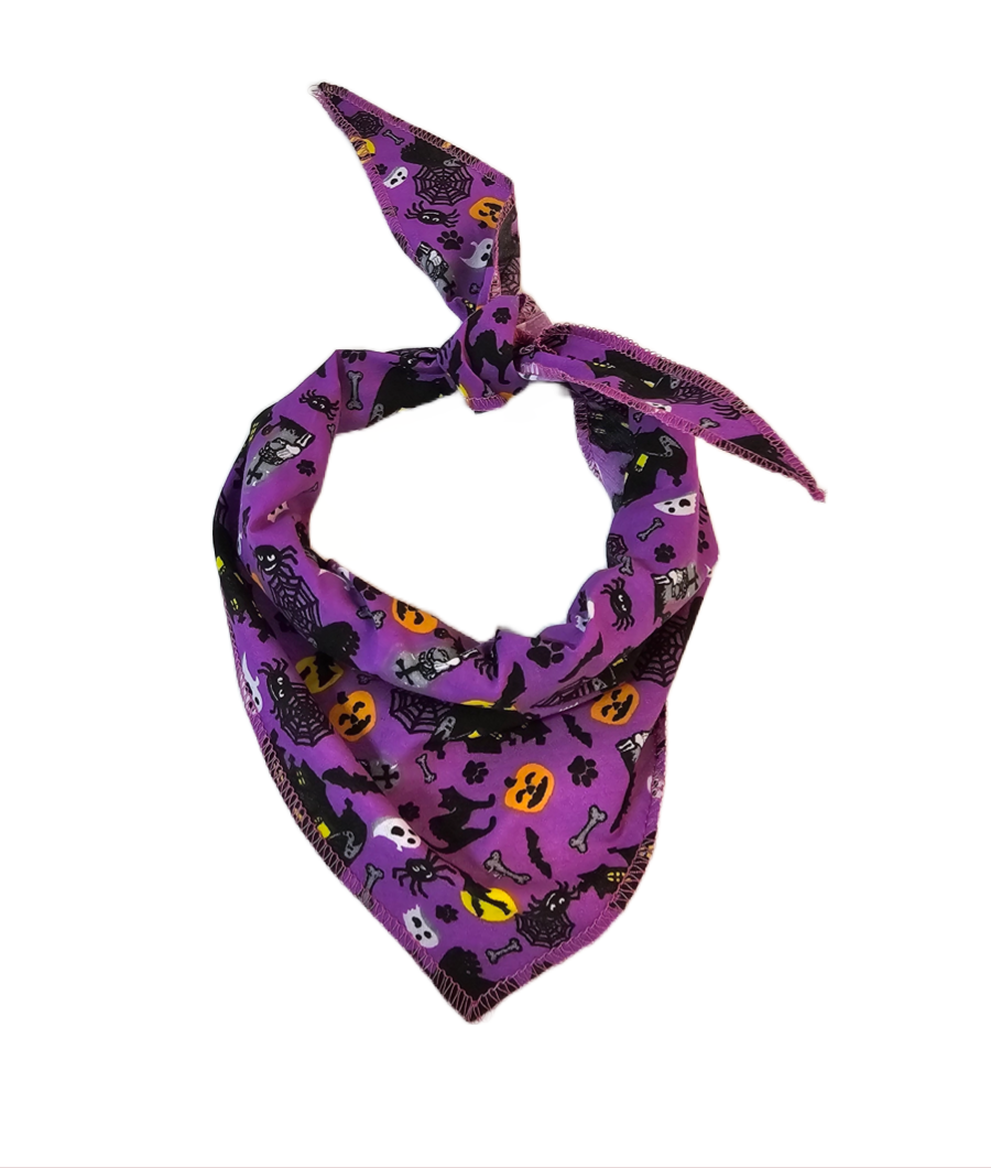 S3172 Halloween Bandana