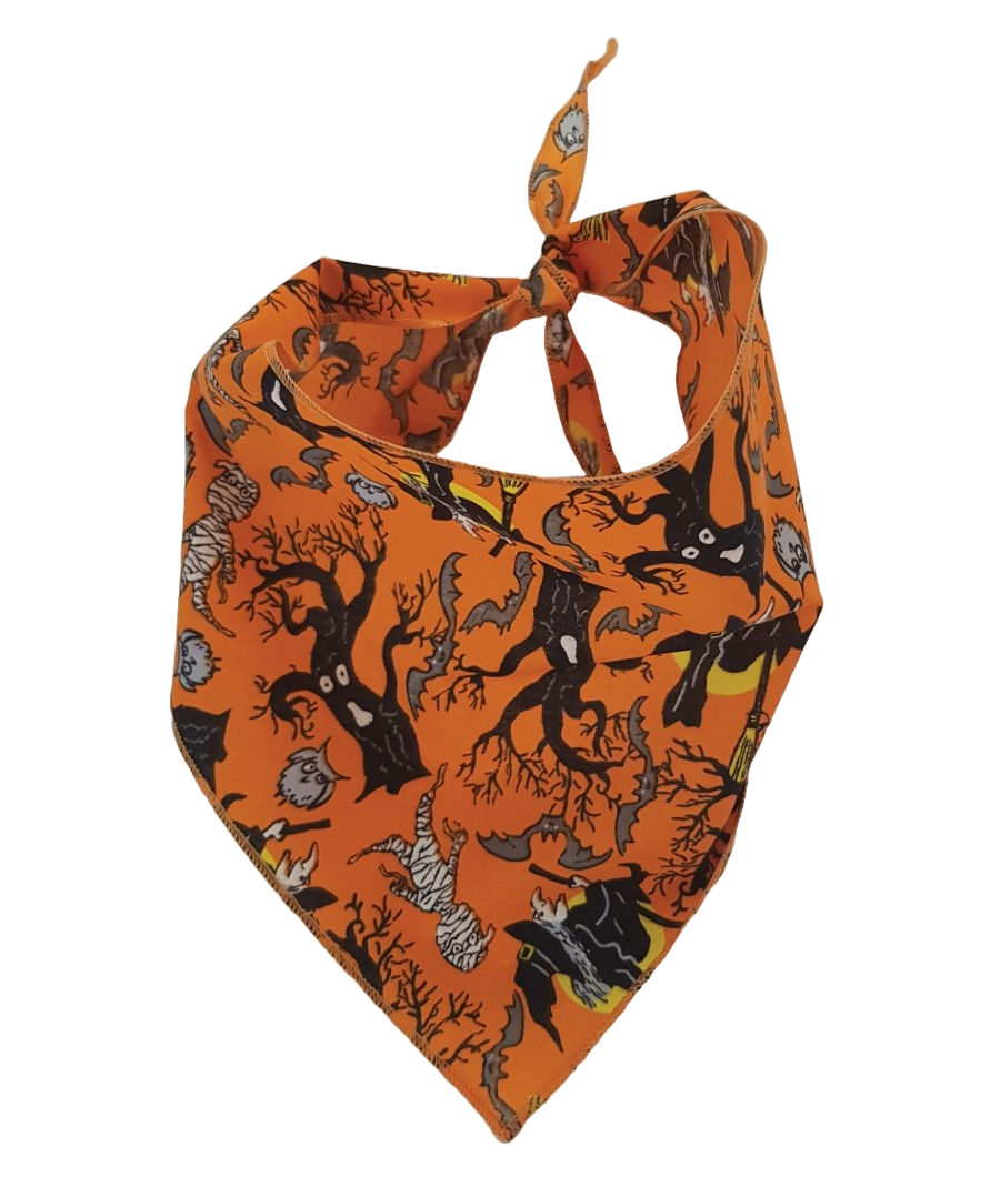 SA3179 Wicked Witch Doggie Bandana, Orange