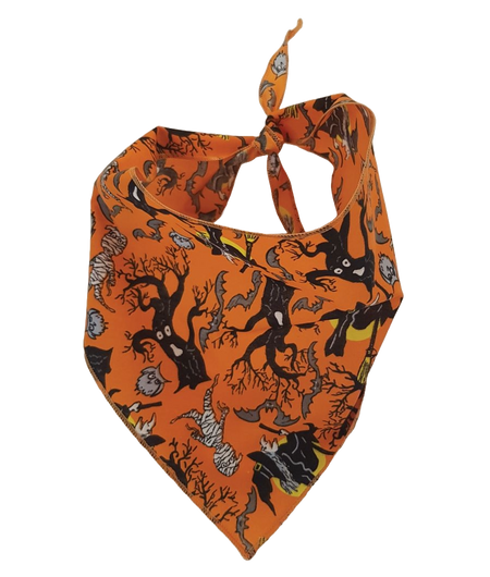 SA3179 Wicked Witch Doggie Bandana, Orange