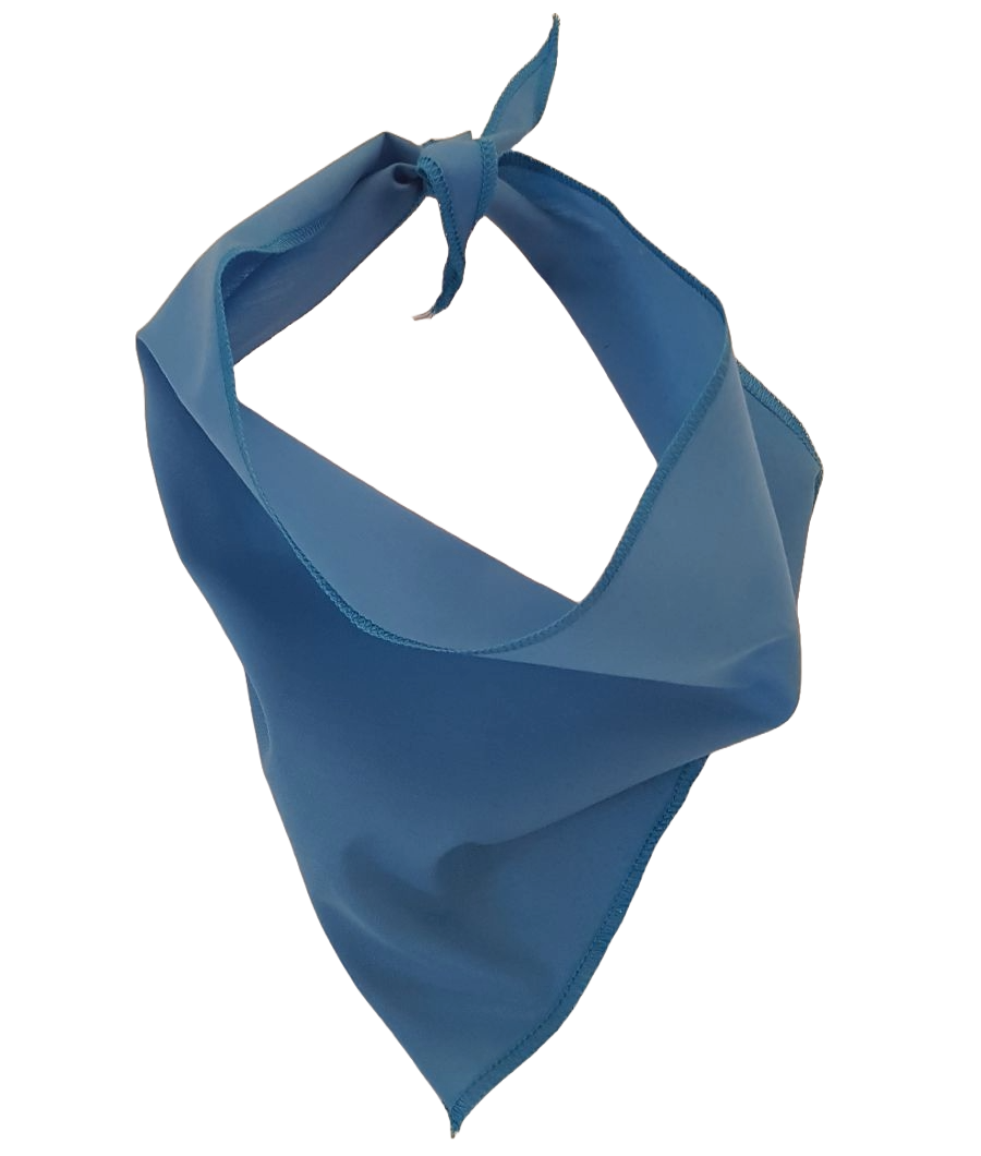 S3614 Black Logo Print, Carolina Blue Bandana