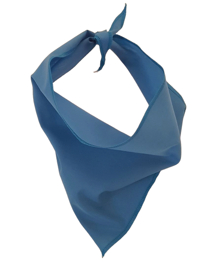 S3614 Black Logo Print, Carolina Blue Bandana