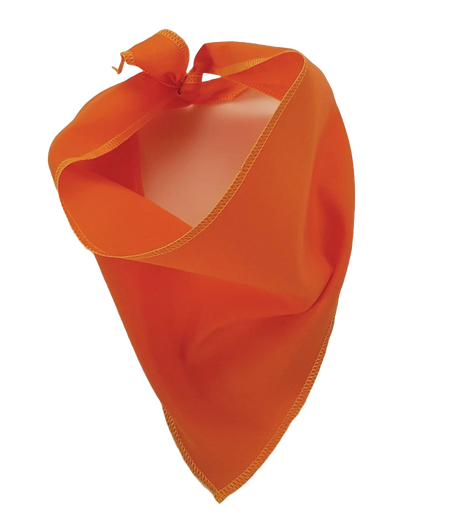 S3197 Orange Bandana