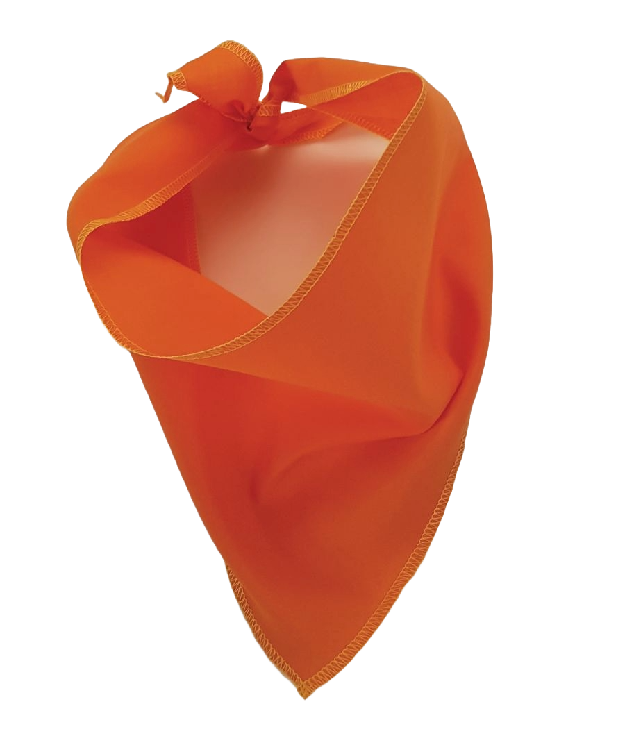 S3197 Orange Bandana