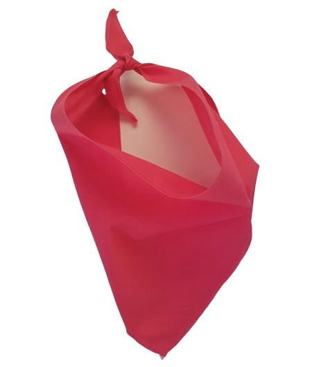 S3198 Hot Pink Bandana