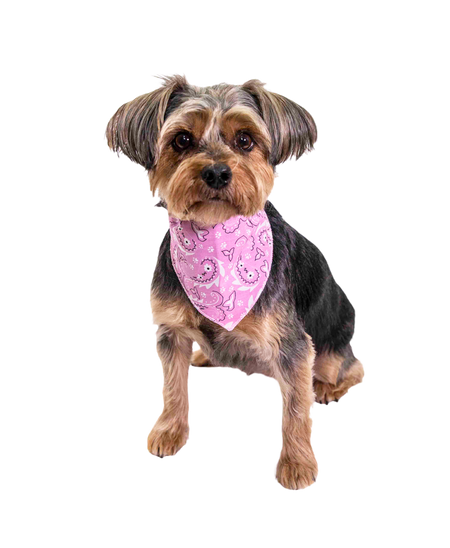 S3202 Paisley & Pawprints Bandana, Pink