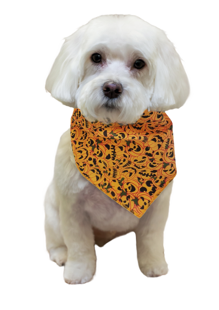 S3212 Halloween Pumpkin Bandana