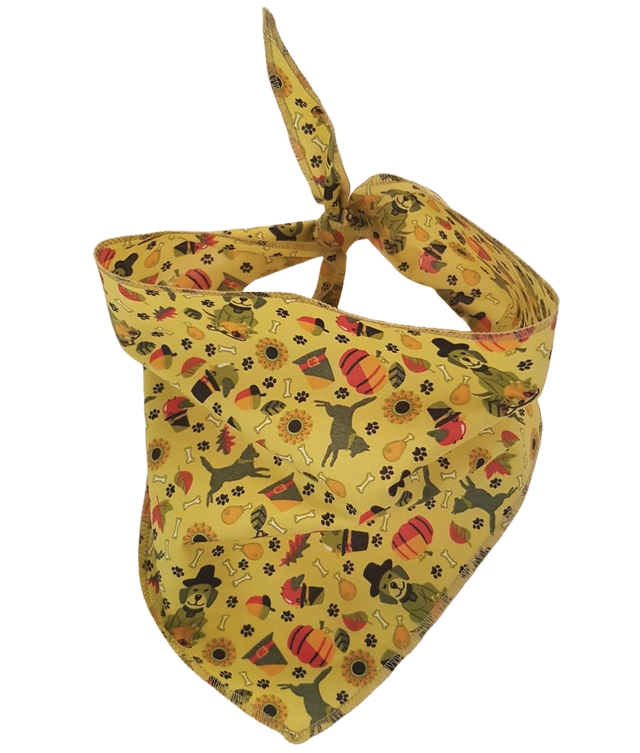 S3219 Pilgrim Hat Doggie Bandana