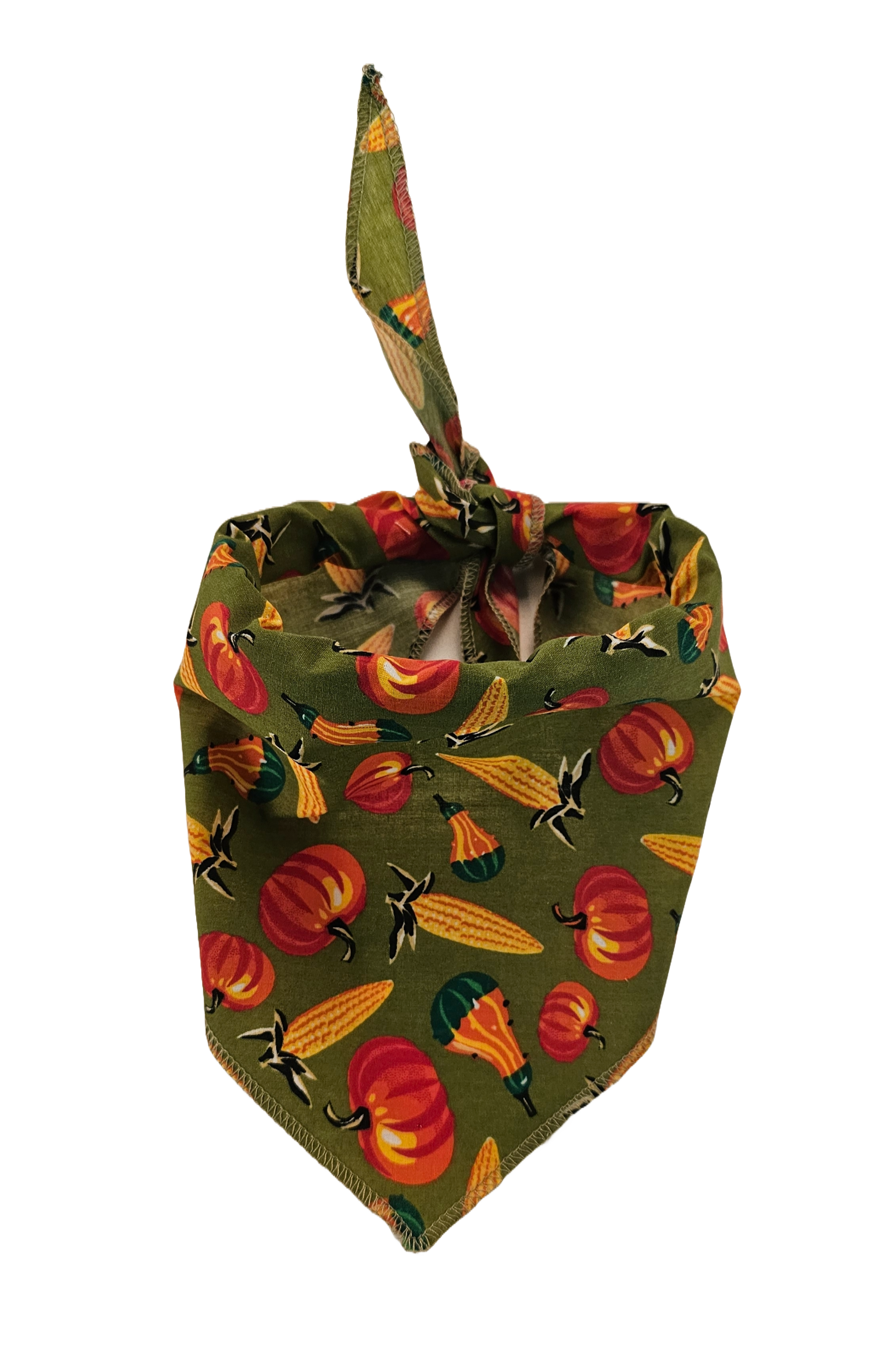 S3221 Thanksgiving Bandana
