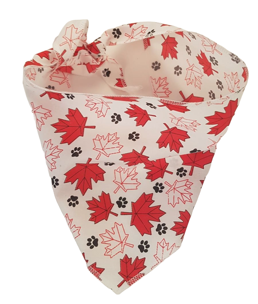 S3235 Maple Leaves & Pawprints Bandana, White