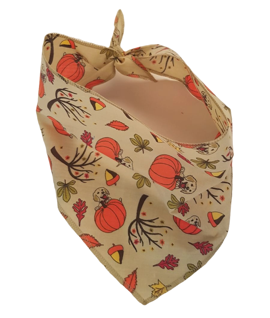 S3242 Pumpkin Doggie Bandana