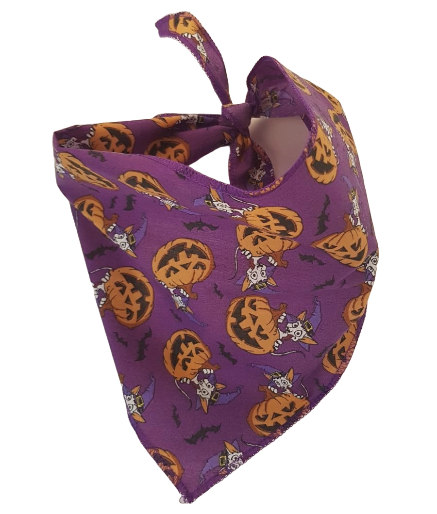 S3245 Halloween Pumpkins Doggie Bandana, Purple 