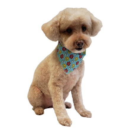 S3093 Colorful Paws, Blue