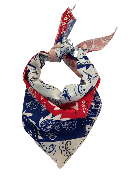 S3251 Multicolor Paisley Triangle Bandana 100% Premium Cotton