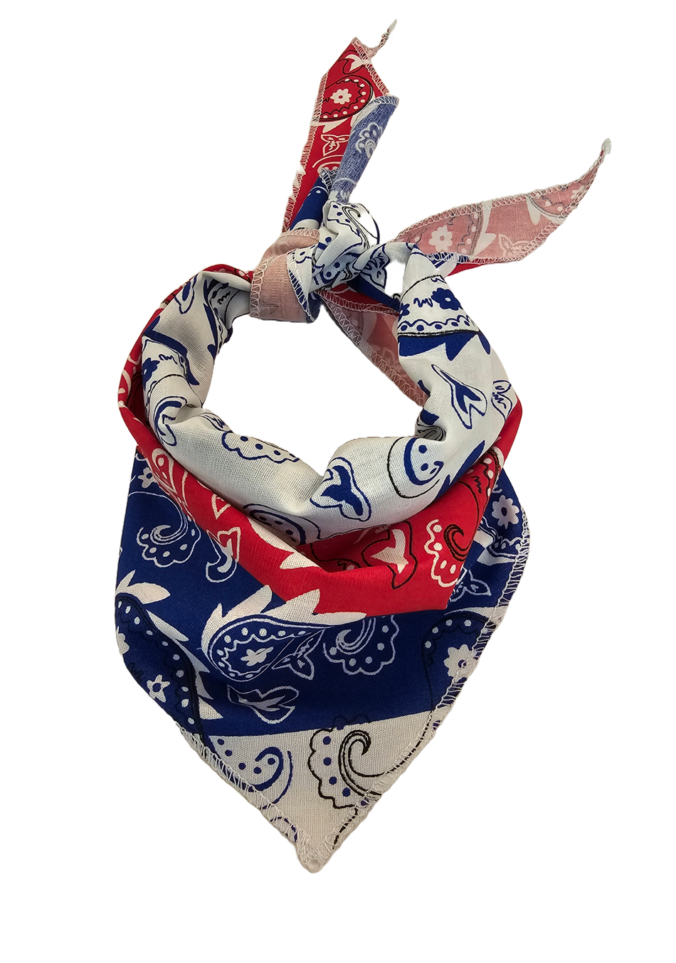 S3251 Multicolor Paisley Triangle Bandana 100% Premium Cotton